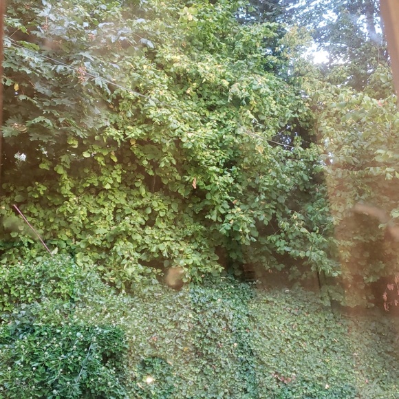 Meet your Posher, Monica - Picture 1 of 1